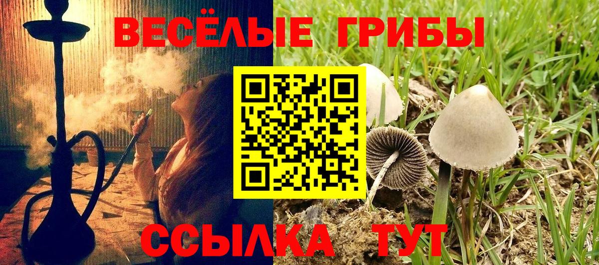 Галлюциногенные грибы ЛСД  Вход с VPN  Галлюциногенные грибы Cubensis  Подольск 